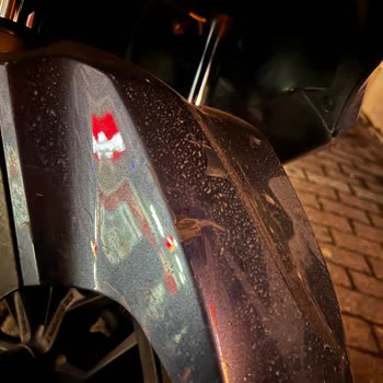 Martı Motor Aracıma Zarar Verdi Arkasında Durmadı!