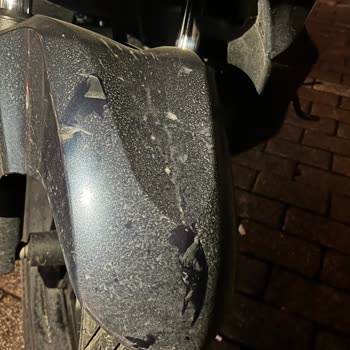 Martı Motor Aracıma Zarar Verdi Arkasında Durmadı!