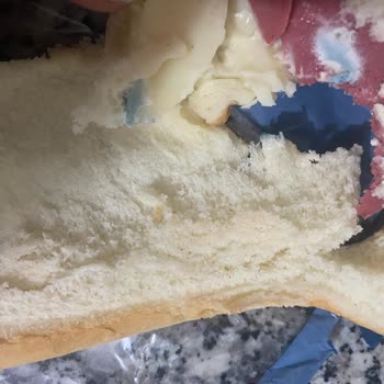 Tibers Sandviçte Küf Şoku!