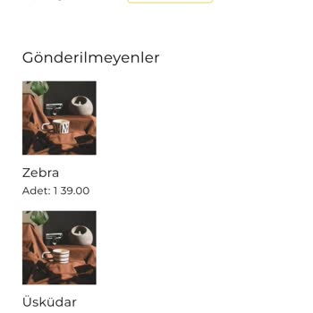 Vina Seramik Kargo Sorunu