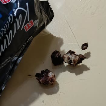 Eti Gıda E** K**** Sert Cisim