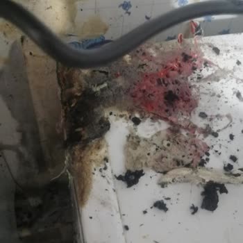 Altus Bulaşık Makinesi Yangın Çıkardı