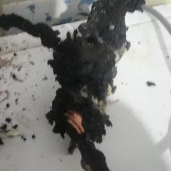 Altus Bulaşık Makinesi Yangın Çıkardı