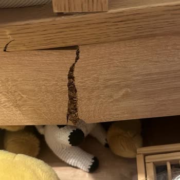 Çilek Mobilya Yeni Alınan Karyolanın Beklenmedik Kırılması!