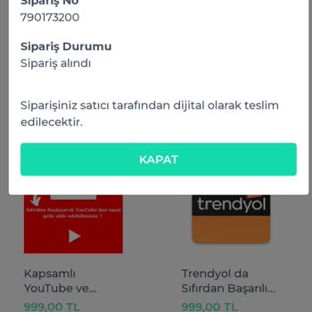 İly_butikk Dijital Ürün Mağduriyeti Ve İlgisiz Satıcı