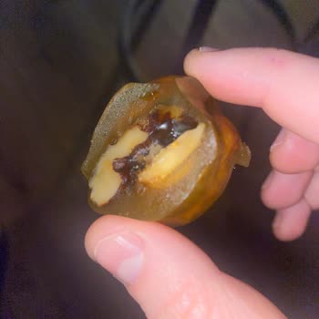 Makbul Bayat Ürün Satıyor!