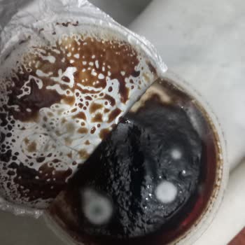 Eker Son Kullanma Tarihi 20.01.24 Olan Kazandibinin Küflü Olması