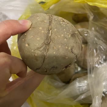 Şok Marketler Online Eksik Ve Kötü Ürün Gönderimi Ve Asla Kimseye Ulaşamama