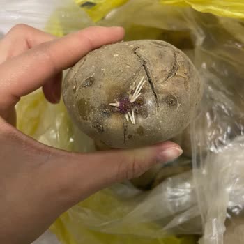 Şok Marketler Online Eksik Ve Kötü Ürün Gönderimi Ve Asla Kimseye Ulaşamama