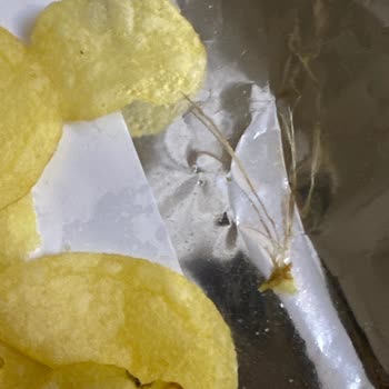 Lays Klasik Cips Yabancı Cisim