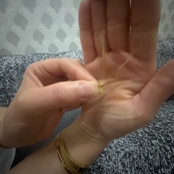 Lays Klasik Cips Yabancı Cisim