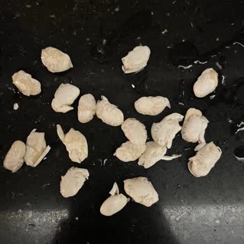 Reis Gıda Paketlenmiş Kuru Fasülyede Kalite Sorunları