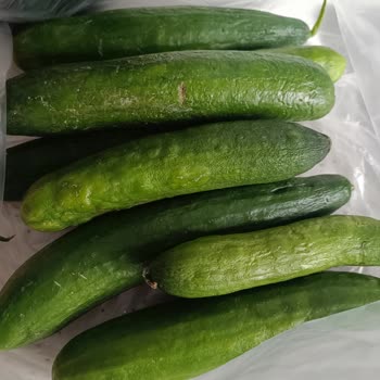 Şok Marketler Kalitesiz Ürünler Ve İade Süreci Hakkında Şikayet