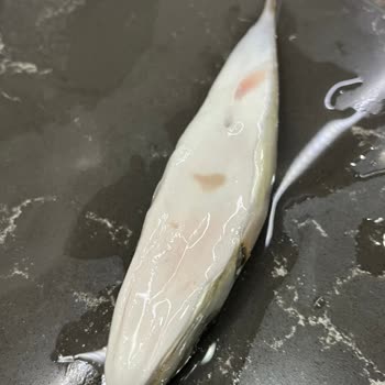 Migros'tan Aldığım Balık Balon Balığı Çıktı