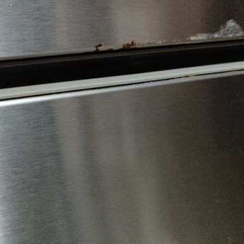 Paslanmaz Arçelik Buzdolabı Paslandı