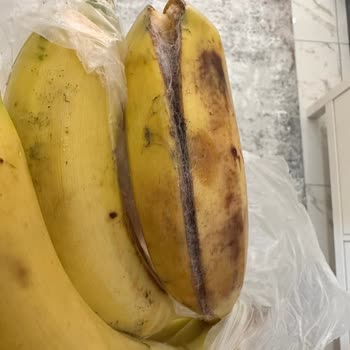 Migros Ürün Küflenmiş Olarak Gönderildi