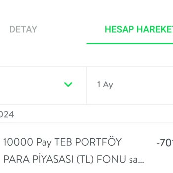 TEB İzinsiz Fon Parası Kesintisi