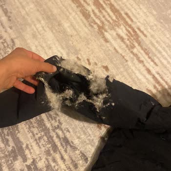 Aras Kargo Köseköy Şubesi Kargomu Atıp Gitmiş Köpekler Parçalamış