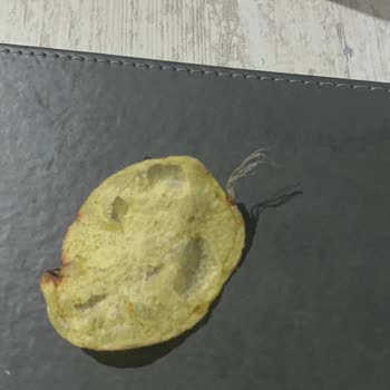 Lays Türkiye Cips İple Kaynamış