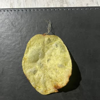 Lays Türkiye Cips İple Kaynamış