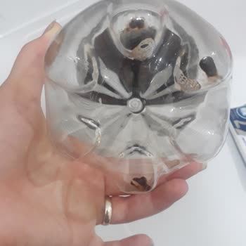 A101 Soğuk Çayın İçindeki Tortular