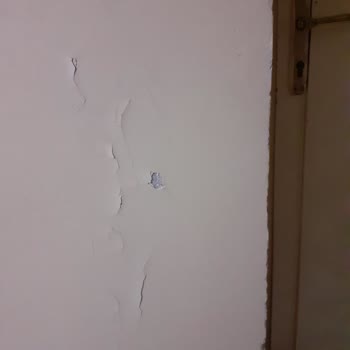 DASK (Doğal Afet Sigortaları Kurumu) Önceki Hasar Dosyasına İtiraz