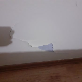 DASK (Doğal Afet Sigortaları Kurumu) Önceki Hasar Dosyasına İtiraz