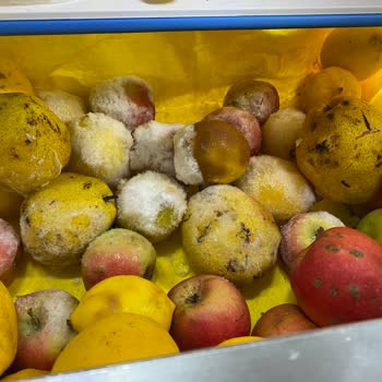 Electrolux Buzdolabı Alındıktan On Gün Sonra Bozuk Olduğu Anlaşıldı.