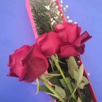 Çiçek Sepeti&nbsp; Kutuda 3 Kırmızı Gül