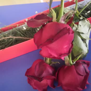 Çiçek Sepeti&nbsp; Kutuda 3 Kırmızı Gül