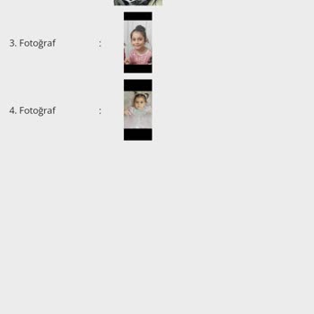Vebudur.com Çiçek Sepeti Vebudur Satıcısı Şikayetçiyim.