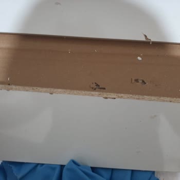 bygolden Aldığım Beşik Hasarlı Geldi Ve İletişime Geçemiyorum