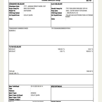 Paladyum Elektronik Para Ve Ödeme Hizmetleri A. Ş. Sahte İş Yeri