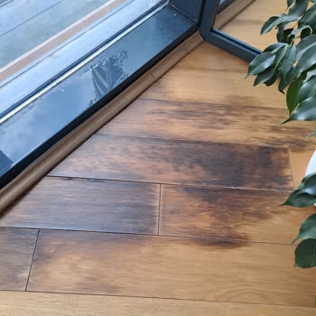 Fortis Sinanlı Pencere Kenarından Yağmur Suyu Damlatma Sorunu