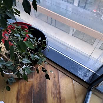 Fortis Sinanlı Pencere Kenarından Yağmur Suyu Damlatma Sorunu