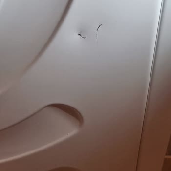 Bosch Yeni Alınan Çamaşır Makinesindeki Çizikler Ve Müşteri Hizmetleri Süreci