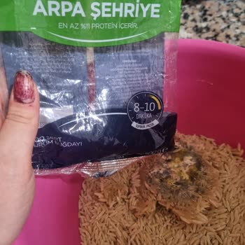 BİM Son Kullanma Tarihi Geçmediği Halde Bozuk Çıkan Ürün