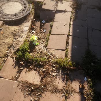 Çerkezköy Belediyesi Rögar Sıkıtı Arızası