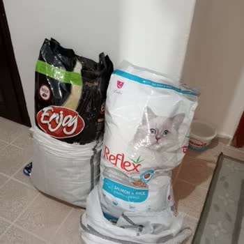 Hepsijet Firması İade Ürünümü 1 Haftadır Kargolamıyor!