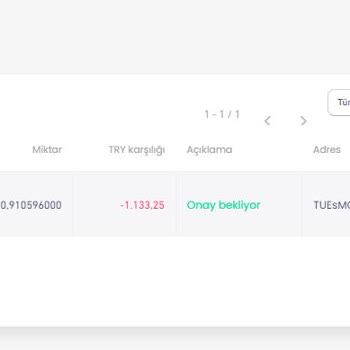 Bitay Kripto Para Çekme İşleminin 16 Günde Tamamlanmaması