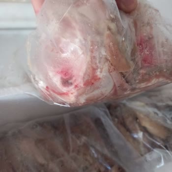 İzmir Kokoreç (Instagram: tarihi.izmir.kokoreci) İnternet Üzerinden Alınan Kokoreç Siparişi Hakkında Değerlendirme