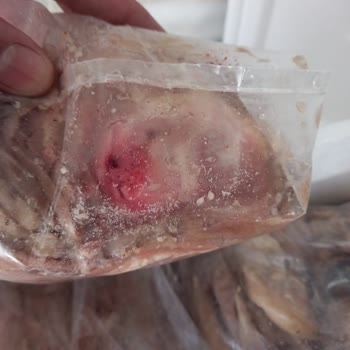 İzmir Kokoreç (Instagram: tarihi.izmir.kokoreci) İnternet Üzerinden Alınan Kokoreç Siparişi Hakkında Değerlendirme