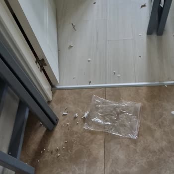 Trendyol Montajix Hizmet Verdi Ve Para İadesi Yapmıyor.