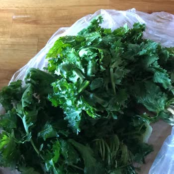 Vestel Buzdolabım Sebze Donduruyor