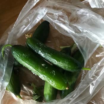 Vestel Buzdolabım Sebze Donduruyor