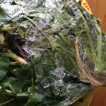 Vestel Buzdolabım Sebze Donduruyor