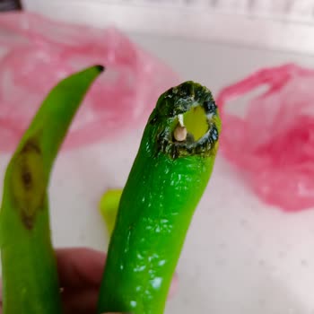 Arçelik Buzdolabının Fazla Soğutması