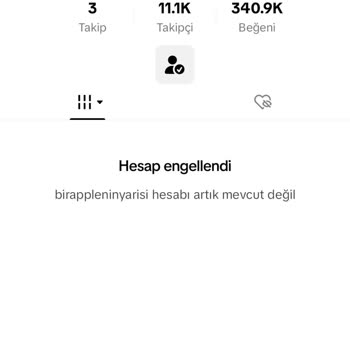TikTok Kalıcı Ban Yedim Durduk Yere
