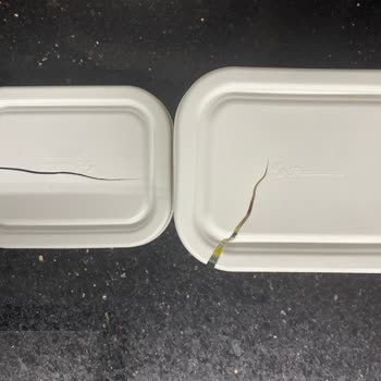 Paşabahçe Saklama Kabı Kapağı