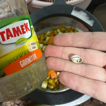 Tamek Marka Garnitürden Salyangoz Çıktı